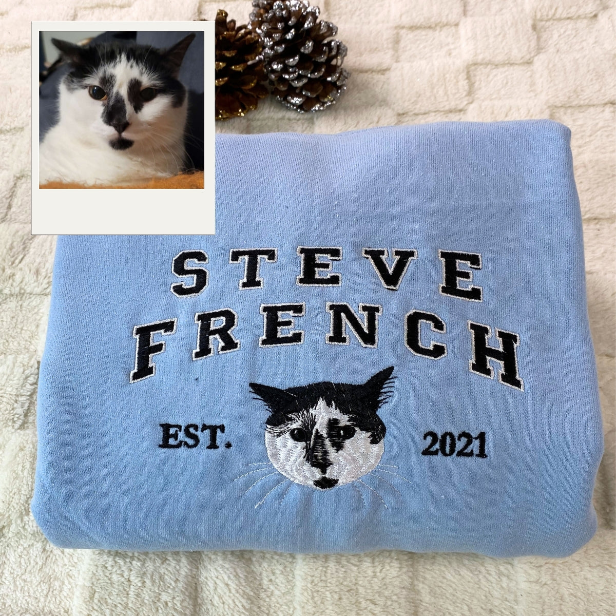 Custom Cat Varsity Hoodies - Personalized Pet Portrait Embroidery with Name - Cat Mom Varsity Gift