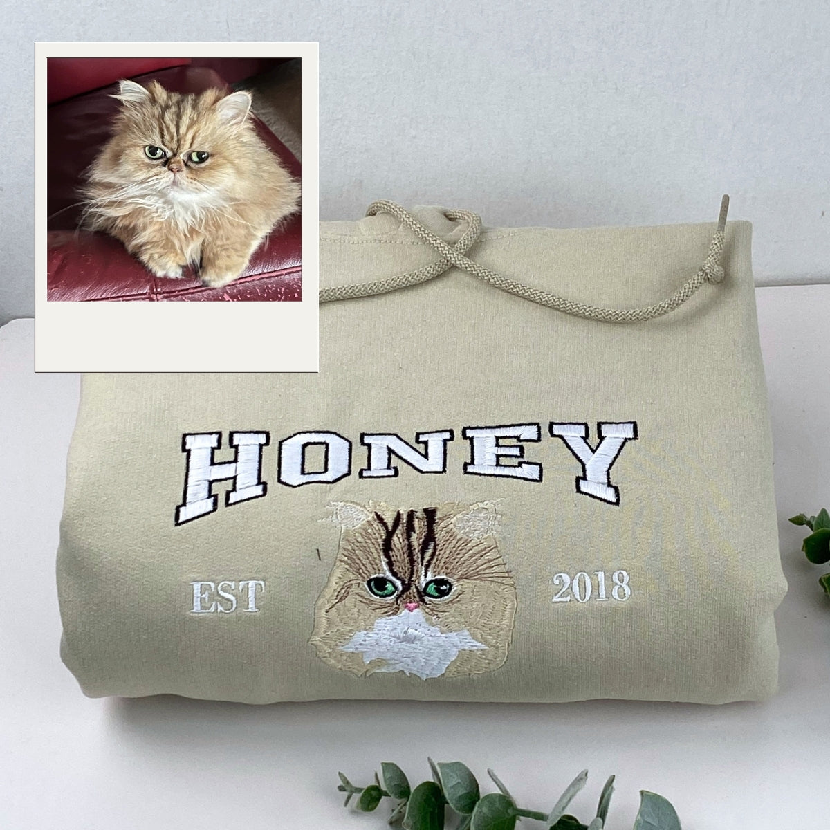 Personalized Cat Name Hoodies - Custom Pet Varsity Embroidery Sweatshirts - Cat Parent Apparel