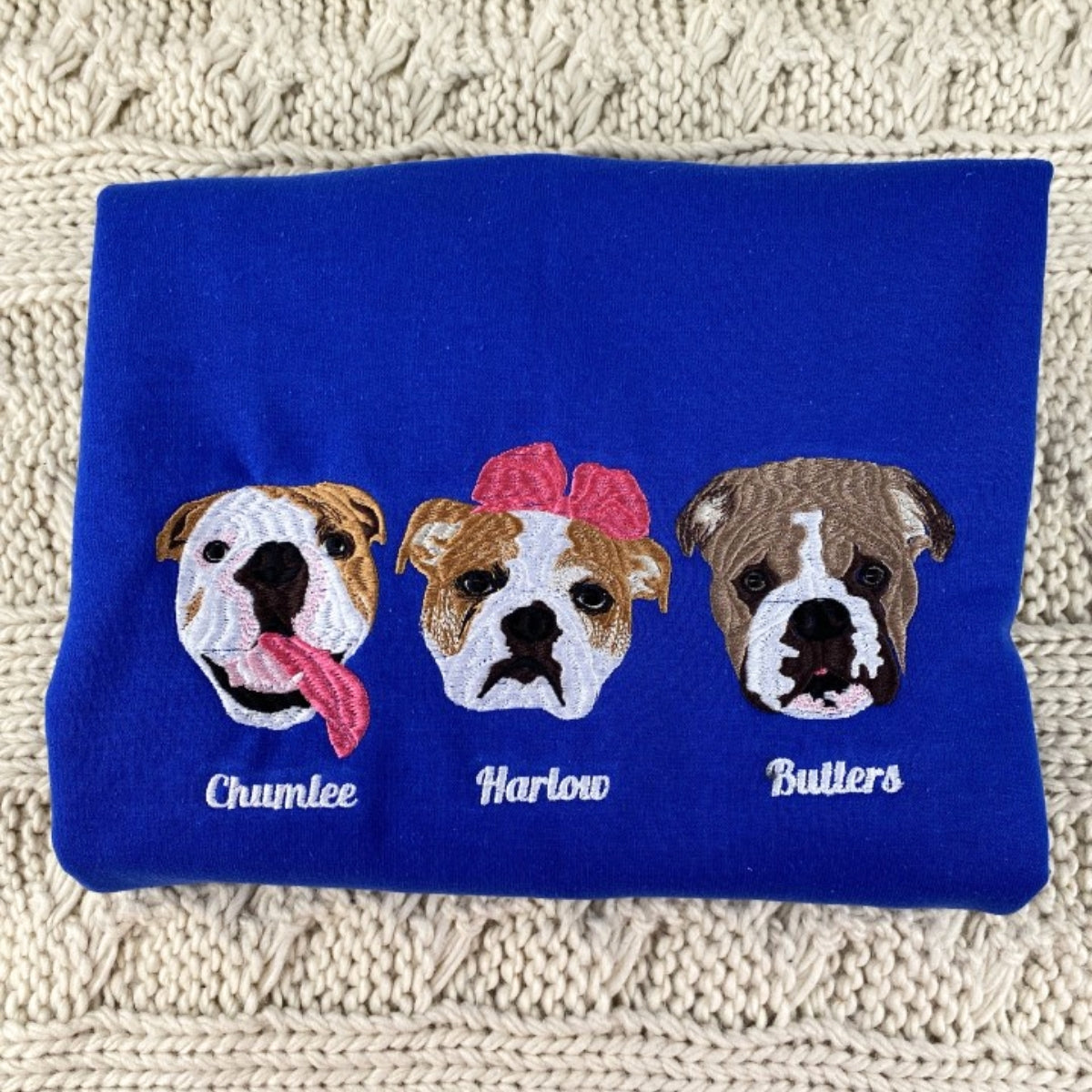 Pet Memorial Custom Hoodies - Dog Angel Halos Embroidered Sweatshirts - Rainbow Bridge Tribute Gift