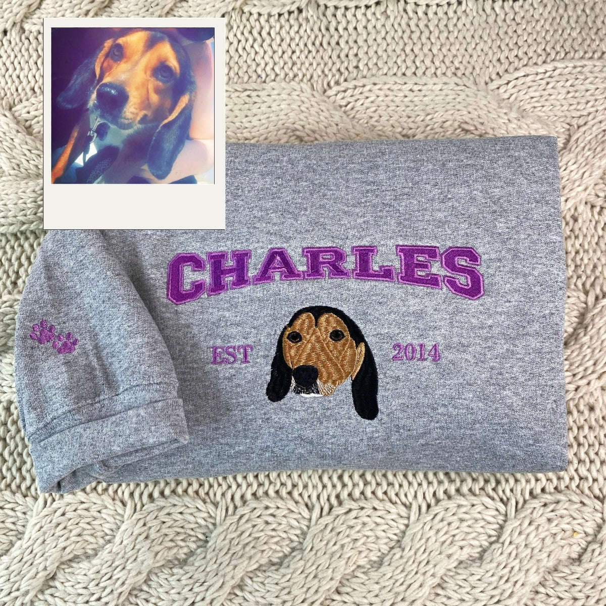 Pet Portrait Varsity Hoodies - Custom Dog Face Embroidered Sweatshirts - Dog Parent Apparel Gift