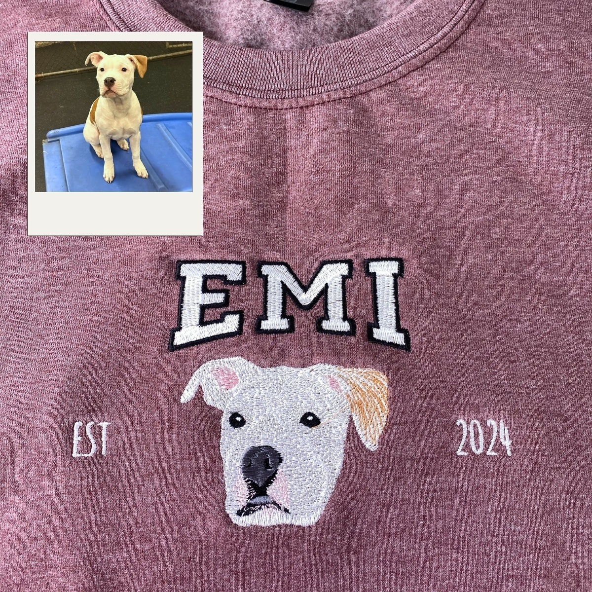 Varsity Pet Portrait Hoodies - Custom Dog College Style Embroidered Sweatshirts - Pet Parent Apparel with Name & Year