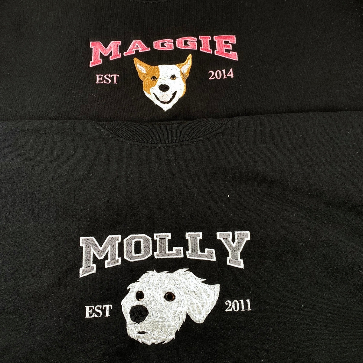 Varsity Pet Portrait Hoodies - Custom Dog College Style Embroidered Sweatshirts - Pet Parent Apparel with Name & Year